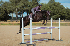 Riding Breeches Jump Elite Grey