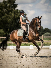 Dressage Saddle Pad Thyme Bow