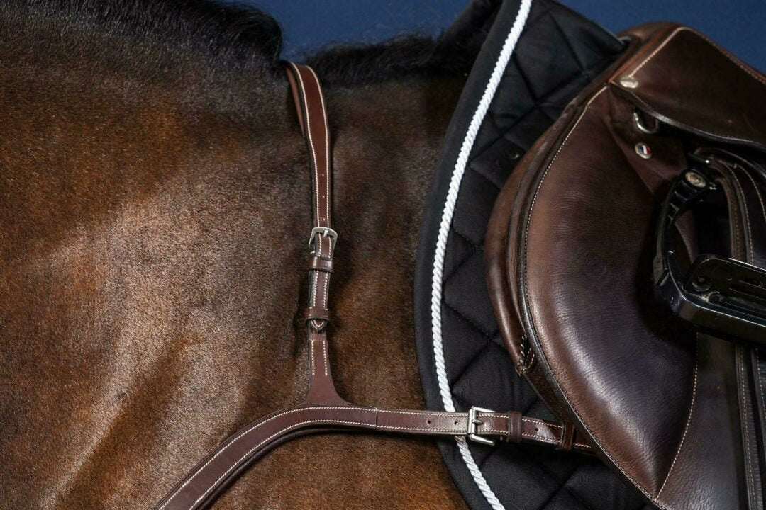Dy'on US Jumping Collection Breast Collar
