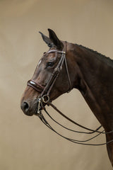Dy'on Working Collection  Patent Large Crank Noseband Double Bridle