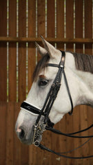 Dy'on Working Collection Patent Large Crank Noseband With White Padding Double Bridle