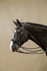 Dy'on Working Collection  Patent Large Crank Noseband Double Bridle