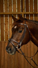 Dy'on Working Collection Flat Leather Bridle With Snap Hooks