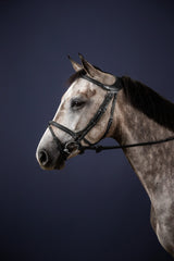Dy'on New English Collection "Difference" Bridle
