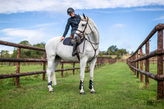 Dy'on New English Collection Double Noseband Bridle