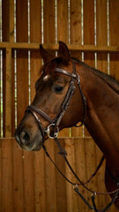 Dy'on Working Collection Flash Noseband Bridle With Snap Hooks