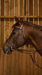 Dy'on Working Collection Flash Noseband Bridle With Snap Hooks