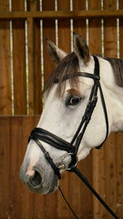 Dy'on Working Collection Matte Large Crank Noseband Bridle With Flash