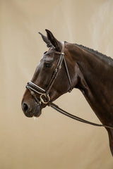 Dy'on Working Collection Patent Large Crank Noseband Bridle With White Padding And Flash