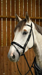 Dy'on Working Collection Patent Large Crank Noseband Bridle With White Padding And Flash