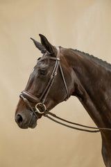 Dy'on Working Collection Matte Large Crank Noseband Bridle With Flash