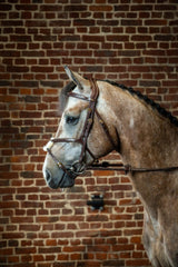 Dy'on D Collection Fig 8 Noseband Bridle