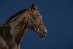 Dy'on US Hunter Collection Cavesson Noseband Bridle