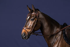 Dy'on D Collection X-Fit Bridle
