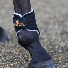 Kentucky Horsewear Brushing Boots Solimbra Hind Short