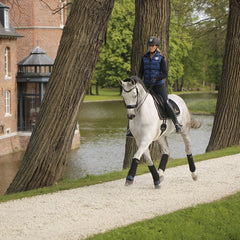 Kentucky Horsewear Working Bandage Pads Absorb Set of 4