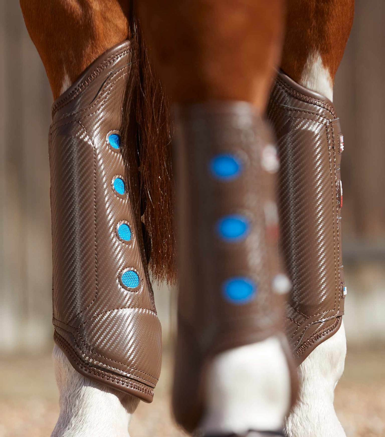 PEI Cross Country Eventing Boots Australia - hind boots for horses