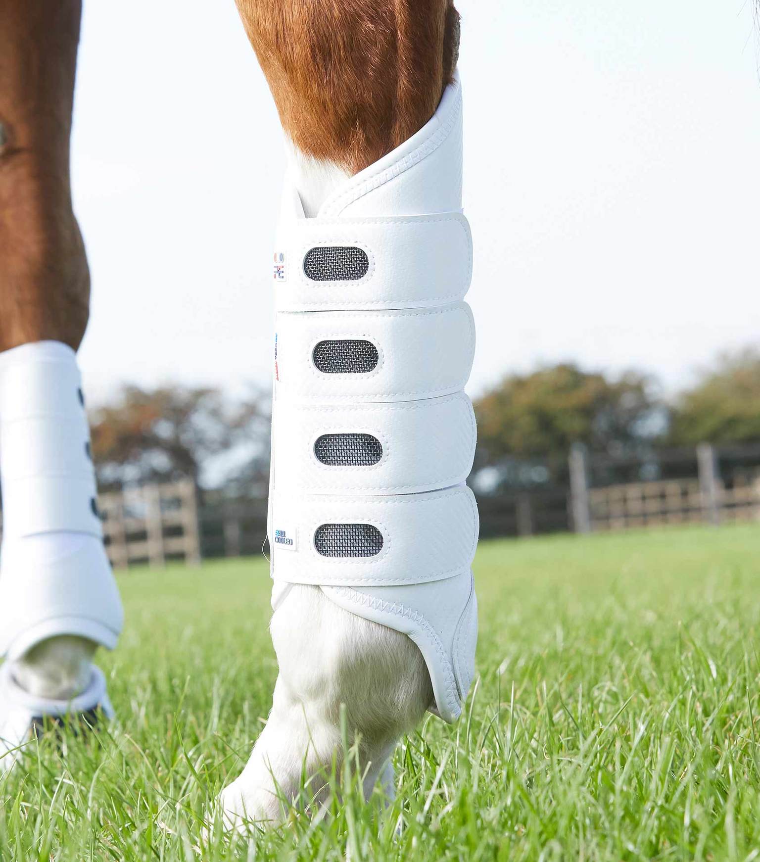 PEI Cross Country Eventing Boots Australia - hind boots for horses