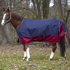 Equitheme Tyrex Rug- Navy & Burgundy