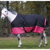 Equitheme Tyrex Rug Blk & Raspberry