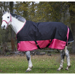 Equitheme Tyrex Rug Blk & Raspberry