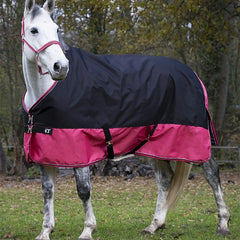 Equitheme Tyrex Rug Blk & Raspberry