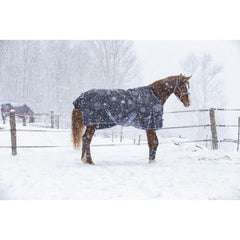 Equitheme Tyrex 8000-8000 Rug- Blue & Grey