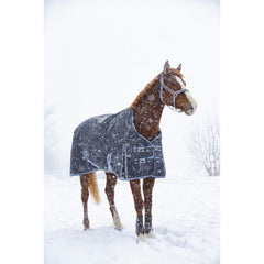 Equitheme Tyrex 8000-8000 Rug- Blue & Grey