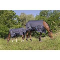 Equitheme Tyrex 8000-8000 Rug- Blue & Grey