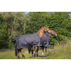 Equitheme Tyrex 8000-8000 Rug- Blue & Grey