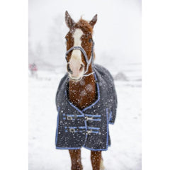 Equitheme Tyrex 8000-8000 Rug- Blue & Grey