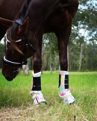 Sunset Horse Tendon Boots Australia