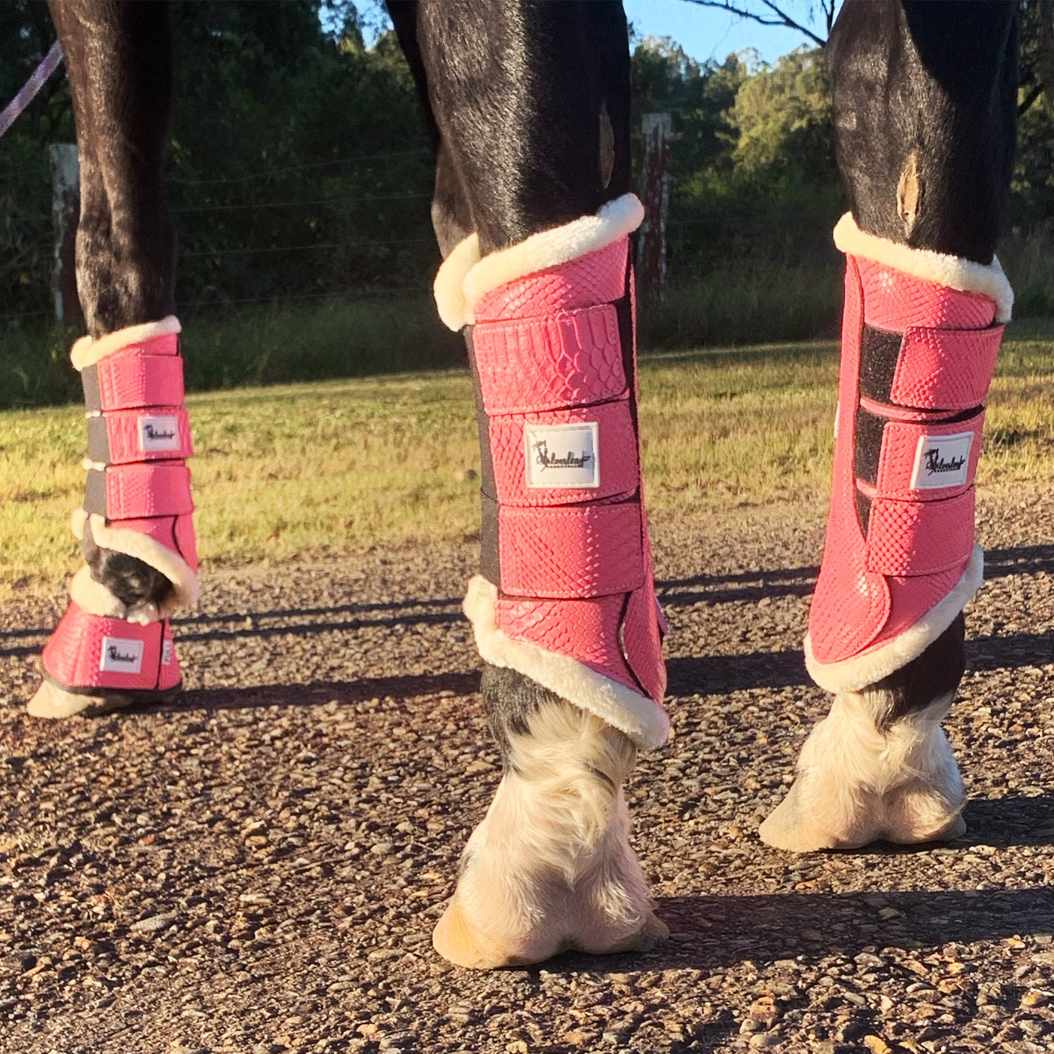 Horse Tendon Boots
