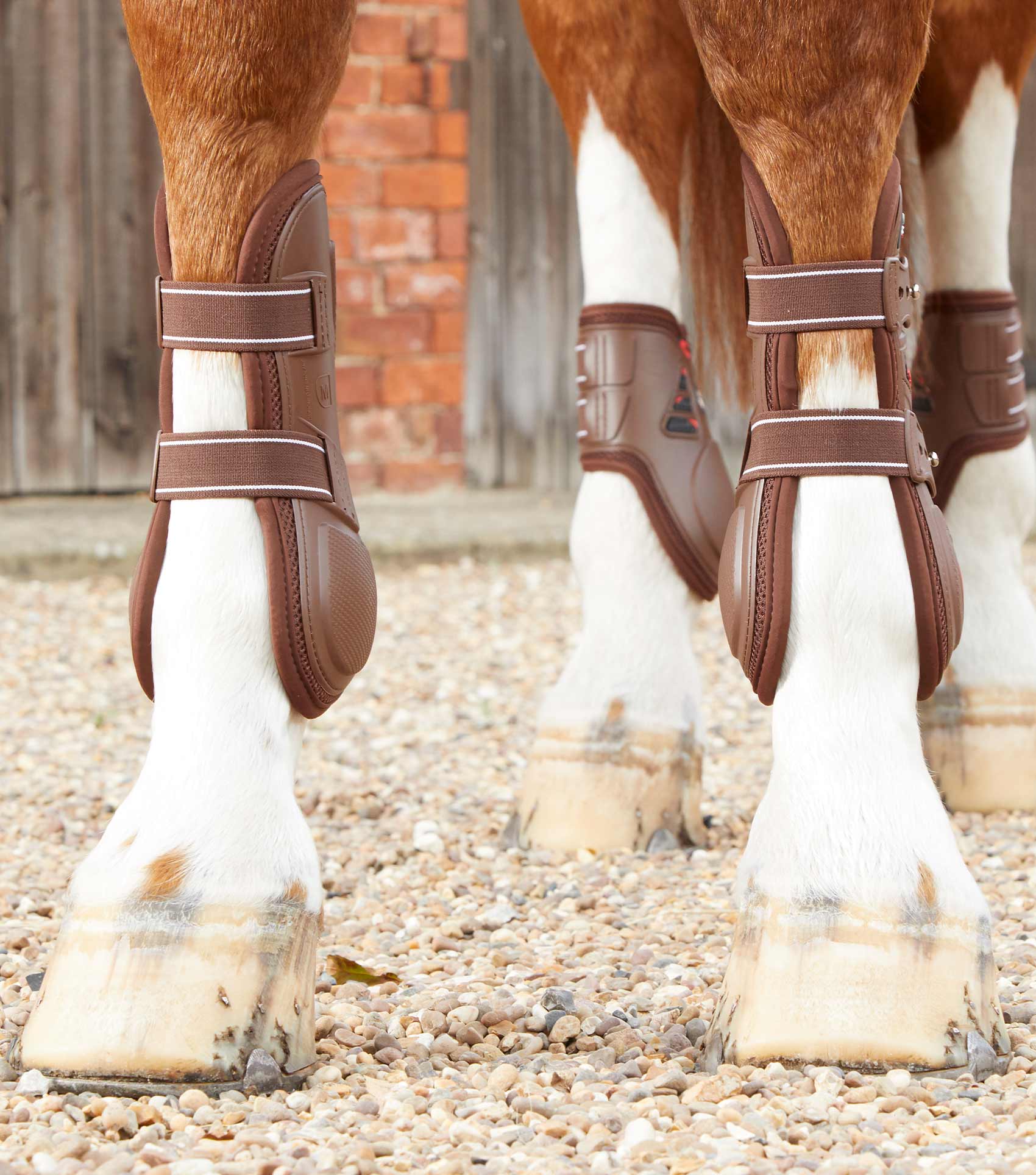 Tendon Support Boots For Horses