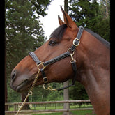 Dy'on D Collection Leather Head Collar Fancy