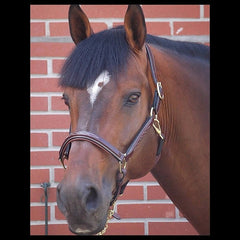 Dy'on D Collection Leather Head Collar Fancy