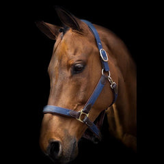 Dy'on Working Collection Padded Nylon/Leather Halter