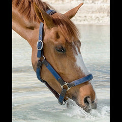 Dy'on Working Collection Padded Nylon/Leather Halter