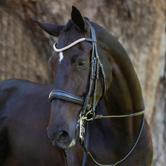 Lumiere 'Madeline' Luxury Leather Bridle (Double) (Includes Reins)