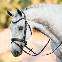 Lumiere 'Ainsley' Bridle (Includes Reins)