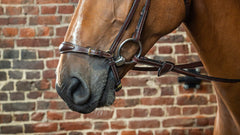 Dy'on Drop Noseband + Browband D collection