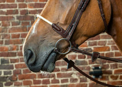 Dy'on Rope Noseband + Browband D collection