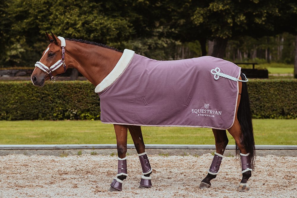 Orchid Bloom Bell Boots For Horses