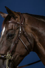 Dy'on US Jumping Collection Hackamore Bridle