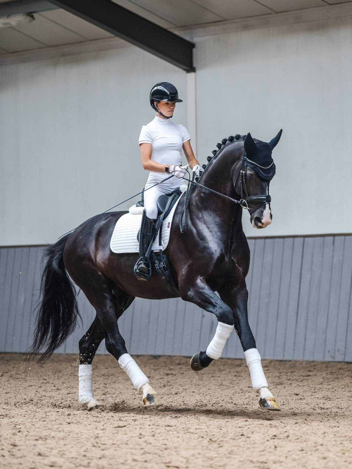 Lemieux Dressage Cotton Square