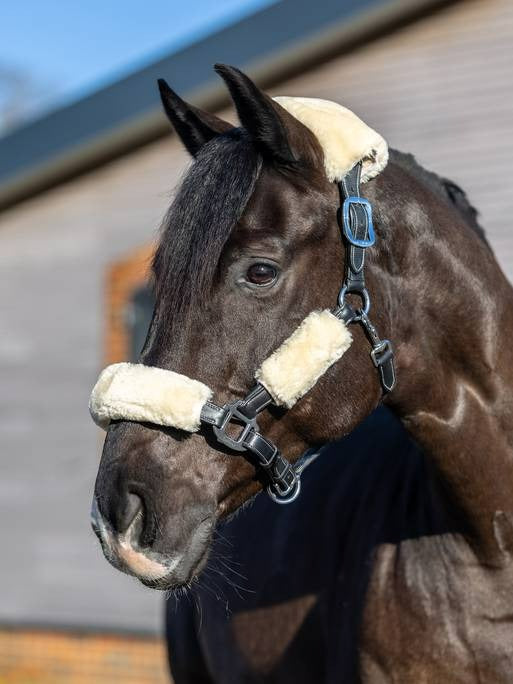 LeMieux Simuwool Headcollar Set