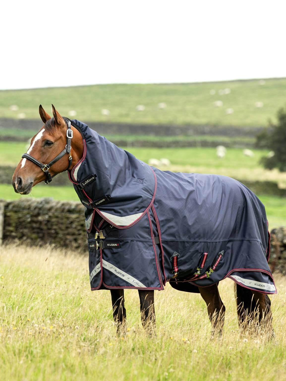 LeMieux Kudos Thermo Layer Turnout Rug 300g Navy