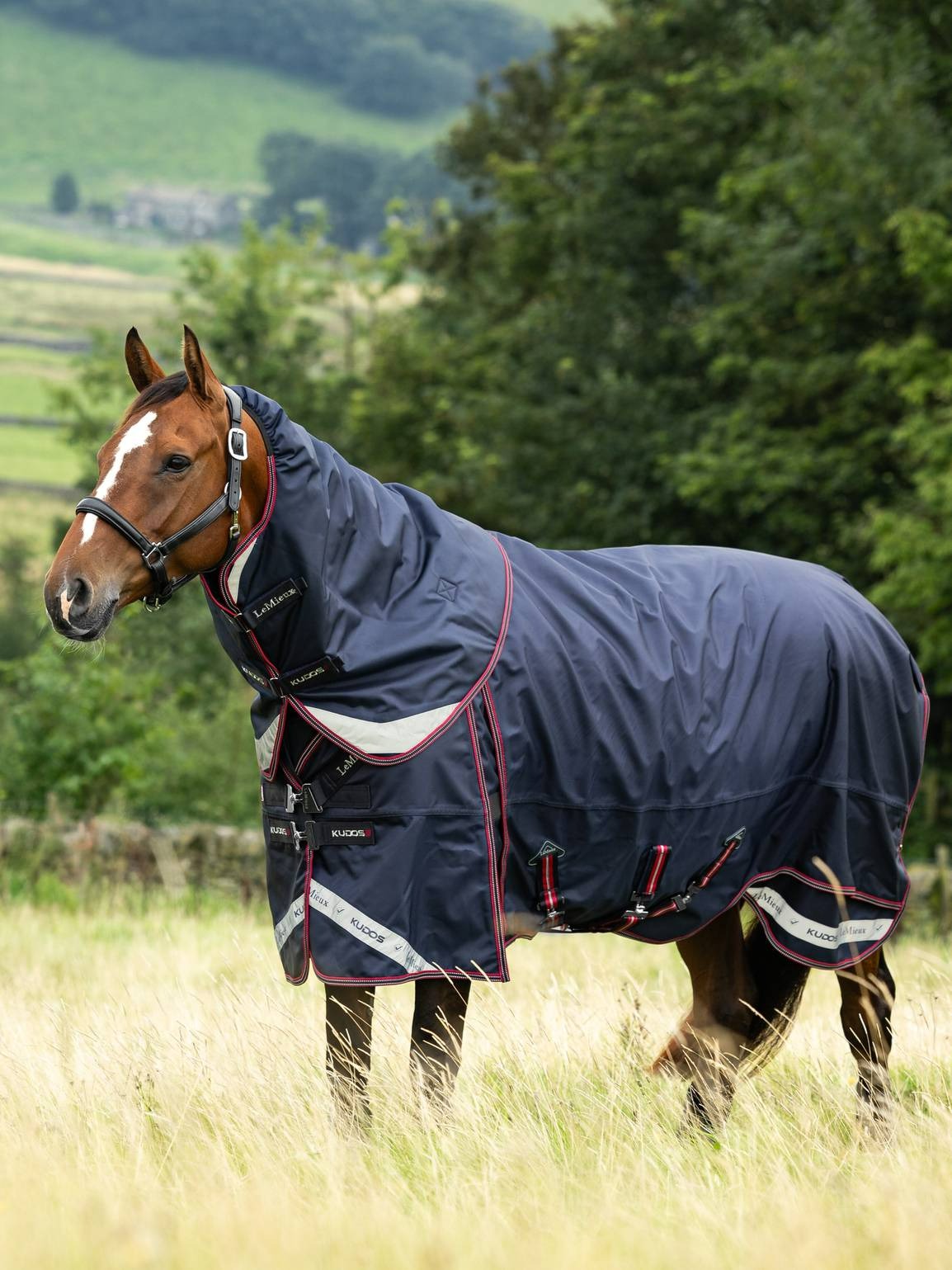 LeMieux Kudos Thermo Layer Turnout Rug 300g Navy