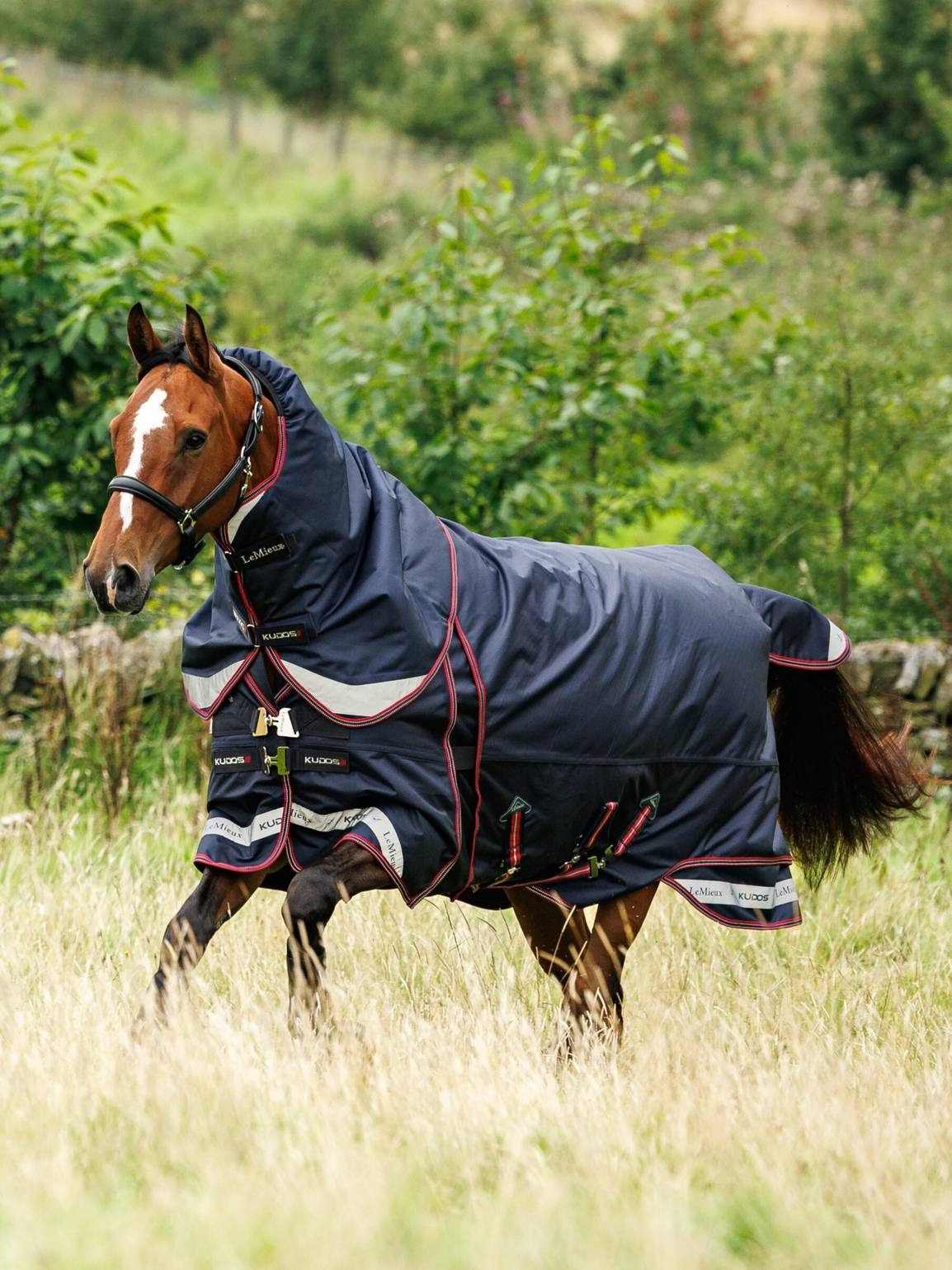 LeMieux Kudos Thermo Layer Turnout Rug 300g Navy