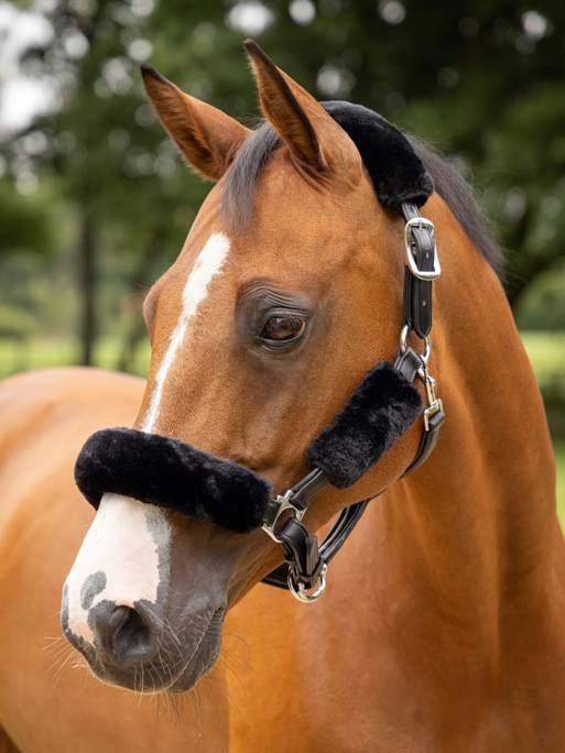 LeMieux Simuwool Headcollar Set